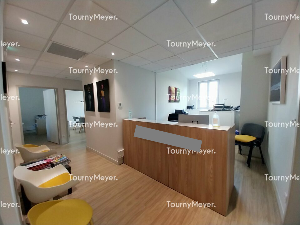 TOURNY MEYER TOULOUSE LOCATION-BUREAUX-TOULOUSE-31
