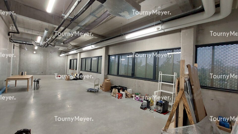 TOURNY MEYER TOULOUSE LOCATION-LOCAL D'ACTIVITE-TOULOUSE-31