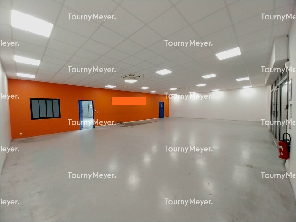 TOURNY MEYER TOULOUSE LOCATION-LOCAL D'ACTIVITE-TOULOUSE-31