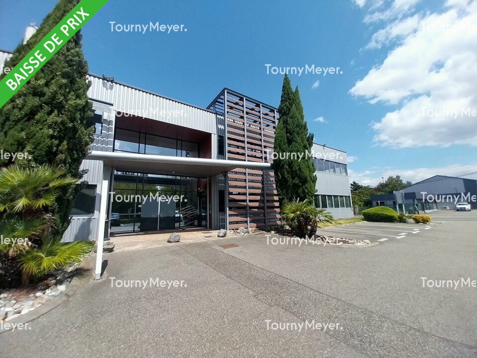 TOURNY MEYER TOULOUSE LOCATION-BUREAUX-TOULOUSE-31
