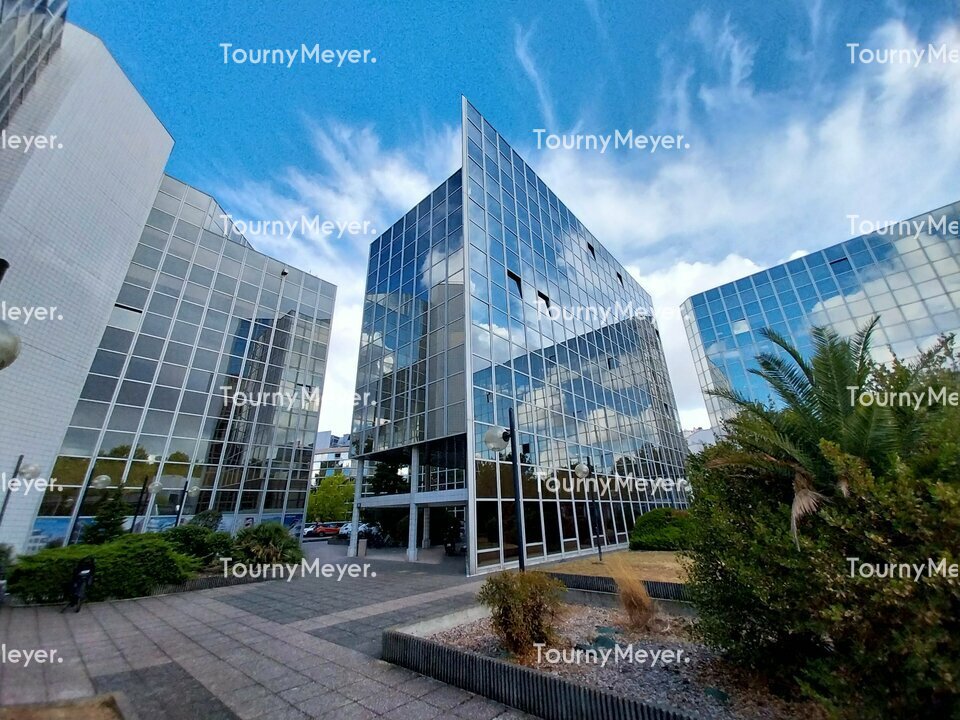 TOURNY MEYER TOULOUSE LOCATION-BUREAUX-TOULOUSE-31