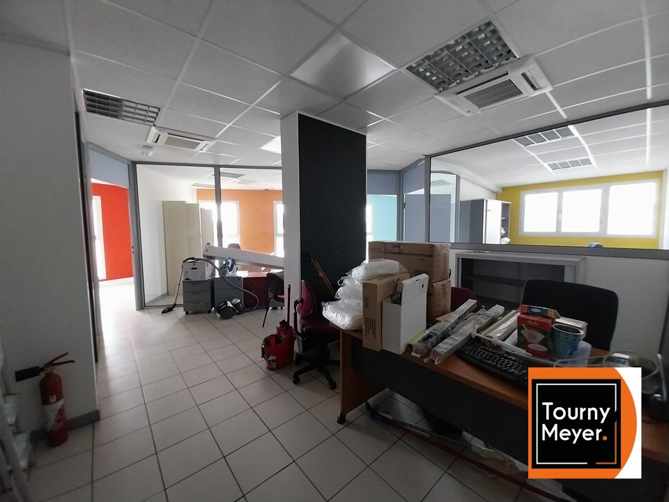TOURNY MEYER TOULOUSE LOCATION-BUREAUX-TOURNEFEUILLE-31