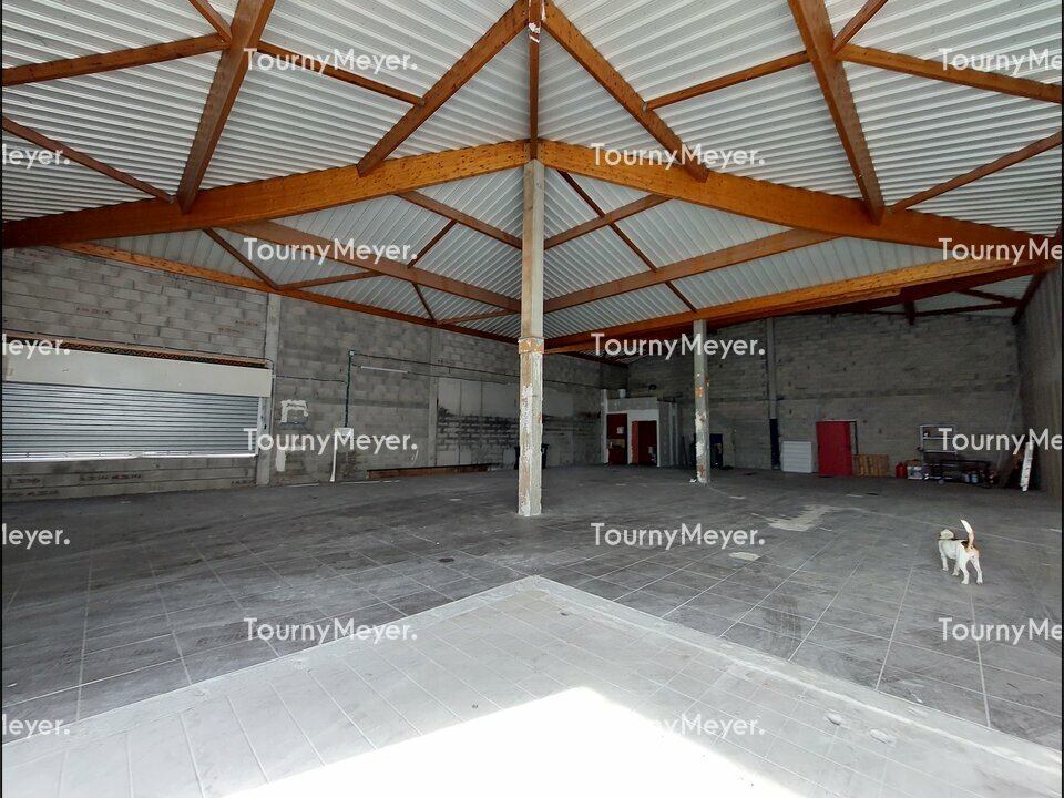 TOURNY MEYER TOULOUSE LOCATION-LOCAL D'ACTIVITE-PORTET_SUR_GARONNE-31