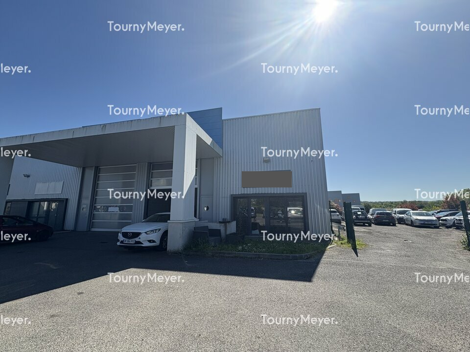 TOURNY MEYER TOULOUSE LOCATION-TERRAIN-ESCALQUENS-31