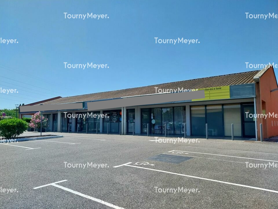 TOURNY MEYER TOULOUSE LOCATION-LOCAL COMMERCIAL-AUSSONNE-31