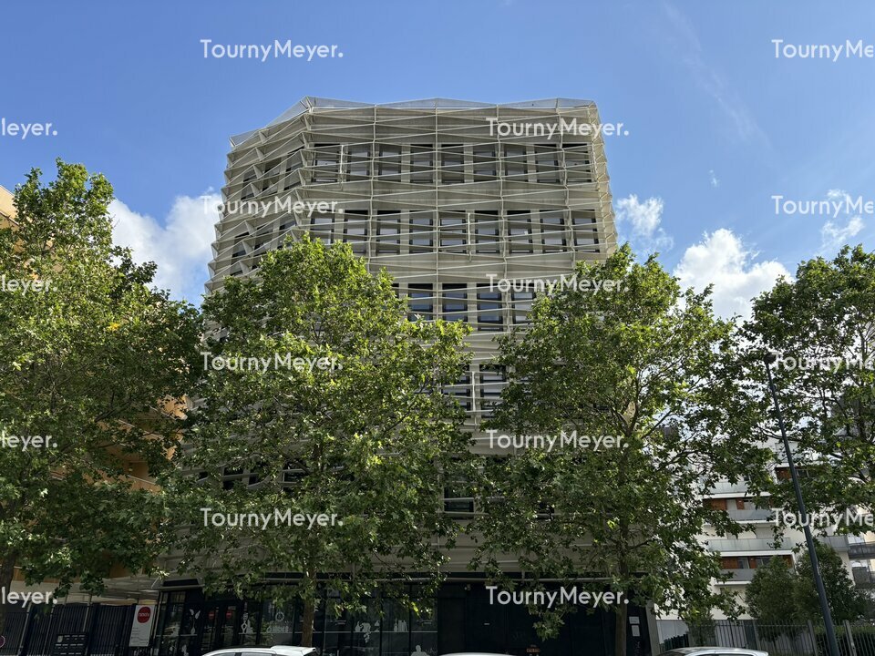 TOURNY MEYER TOULOUSE LOCATION-BUREAUX-TOULOUSE-31