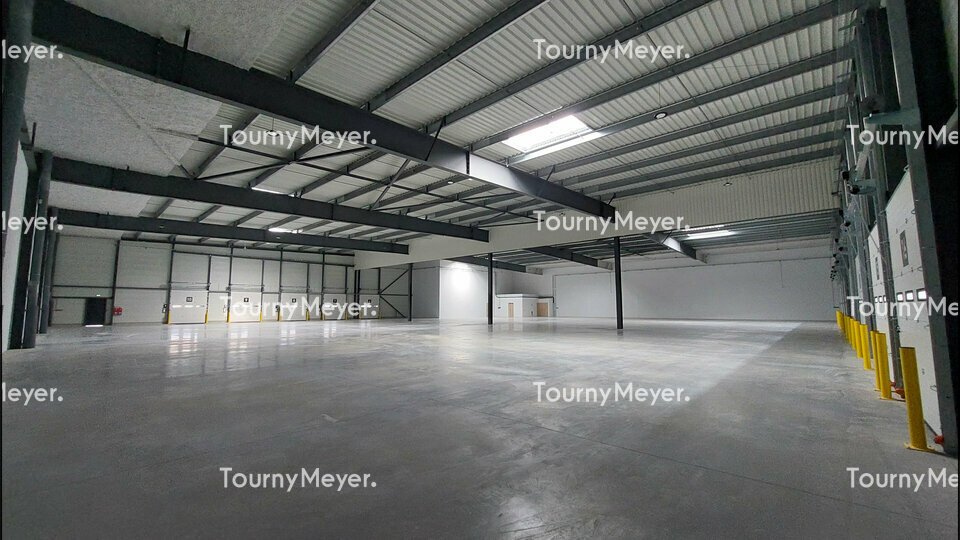 TOURNY MEYER TOULOUSE LOCATION-ENTREPOT-TOULOUSE-31