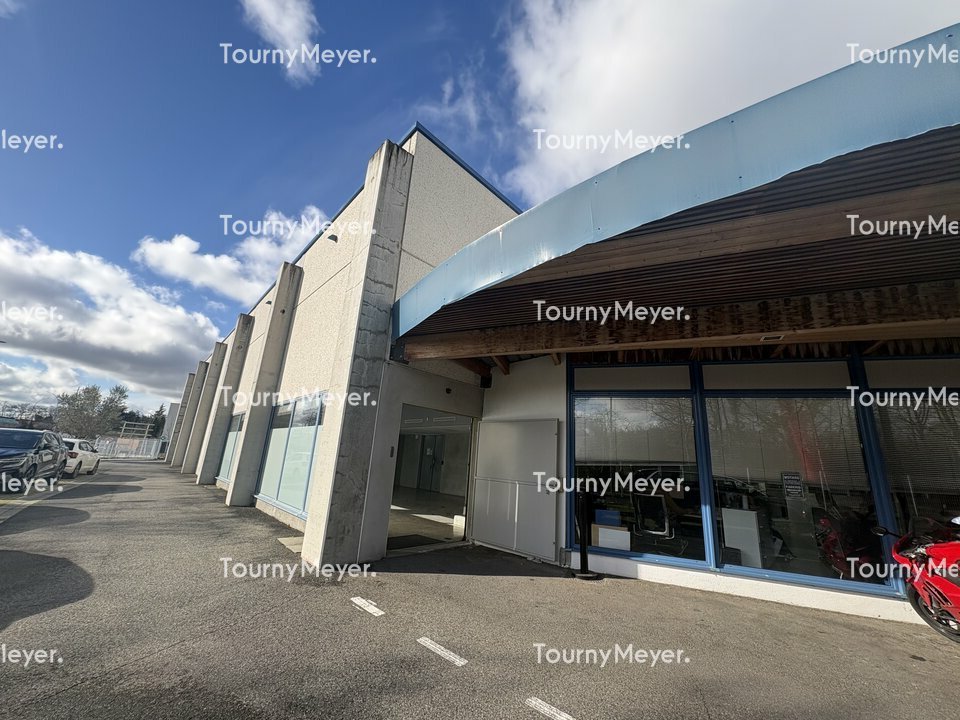 TOURNY MEYER TOULOUSE LOCATION-LOCAL D'ACTIVITE-TOULOUSE-31