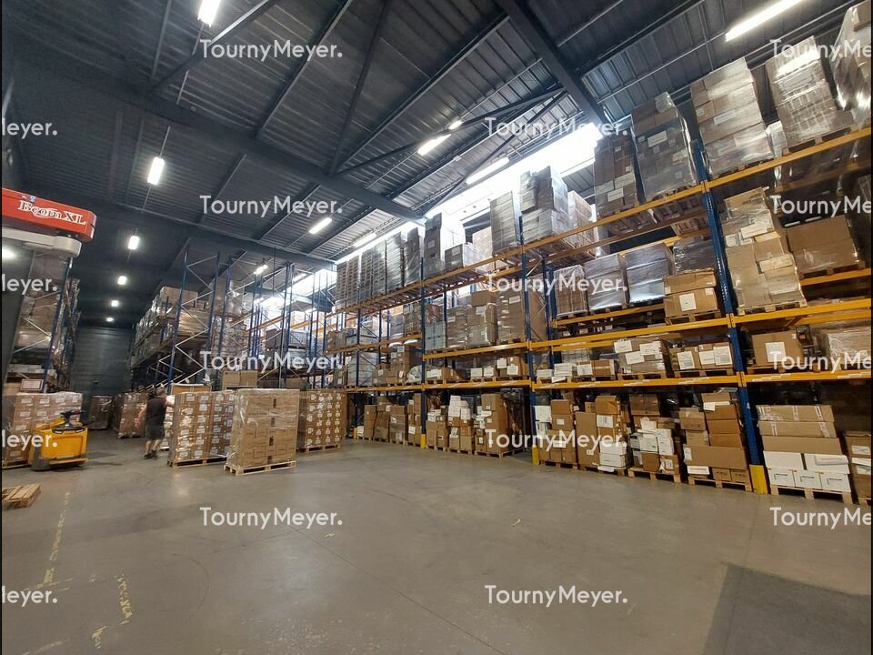 TOURNY MEYER TOULOUSE LOCATION-LOCAL D'ACTIVITE-QUINT_FONSEGRIVES-31