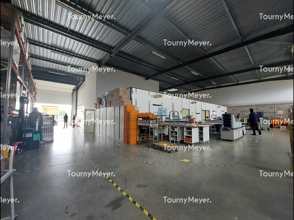TOURNY MEYER TOULOUSE LOCATION-LOCAL D'ACTIVITE-TOULOUSE-31