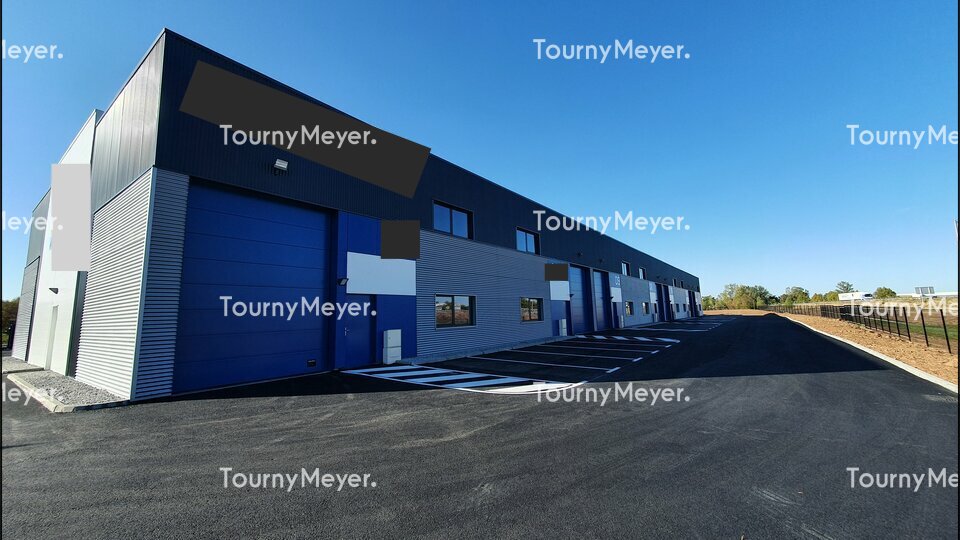 TOURNY MEYER TOULOUSE LOCATION-LOCAL D'ACTIVITE-MARSSAC_SUR_TARN-81
