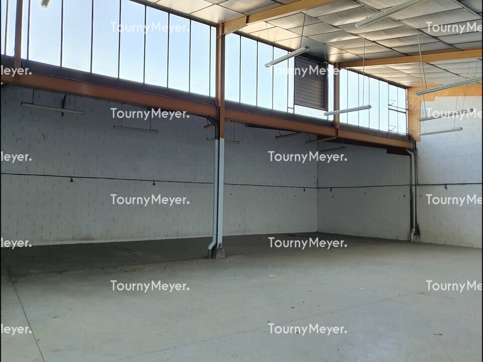 TOURNY MEYER TOULOUSE LOCATION-LOCAL D'ACTIVITE-MONTAUBAN-82