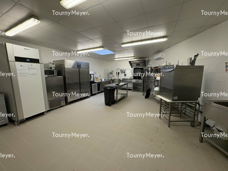 TOURNY MEYER TOULOUSE LOCATION-LOCAL D'ACTIVITE-MONTRABE-31