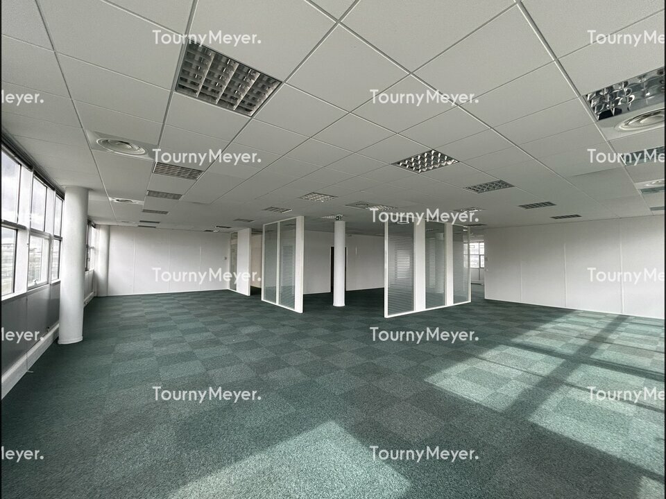 TOURNY MEYER TOULOUSE LOCATION-BUREAUX-TOULOUSE-31