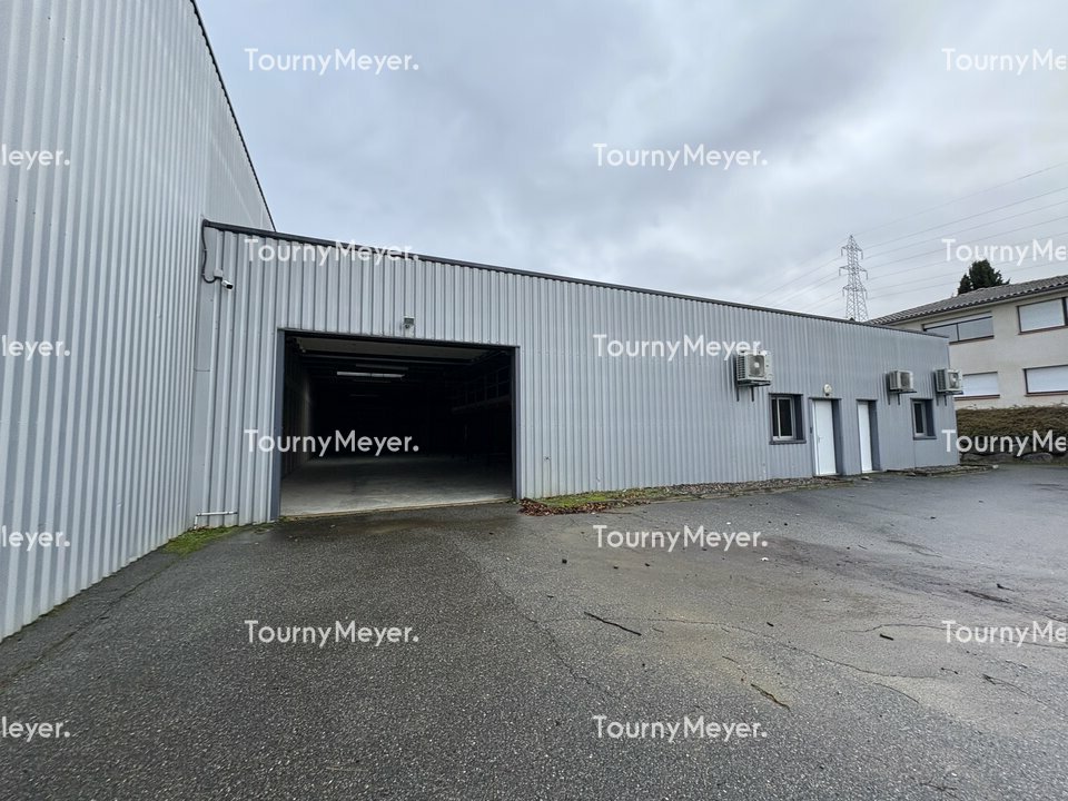 TOURNY MEYER TOULOUSE VENTE-LOCAL D'ACTIVITE-MONDOUZIL-31
