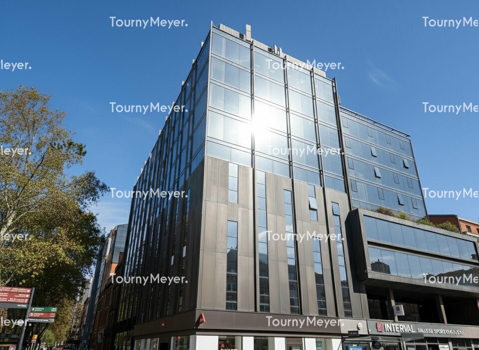 TOURNY MEYER TOULOUSE LOCATION-BUREAUX-TOULOUSE-31