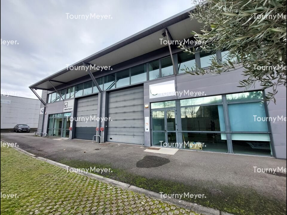 TOURNY MEYER TOULOUSE LOCATION-LOCAL D'ACTIVITE-TOULOUSE-31