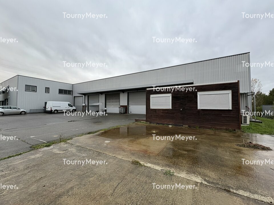 TOURNY MEYER TOULOUSE LOCATION-LOCAL D'ACTIVITE-MONDOUZIL-31