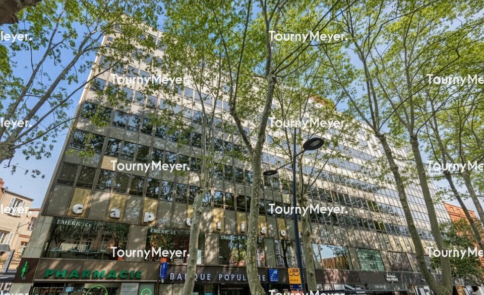 TOURNY MEYER TOULOUSE LOCATION-BUREAUX-TOULOUSE-31