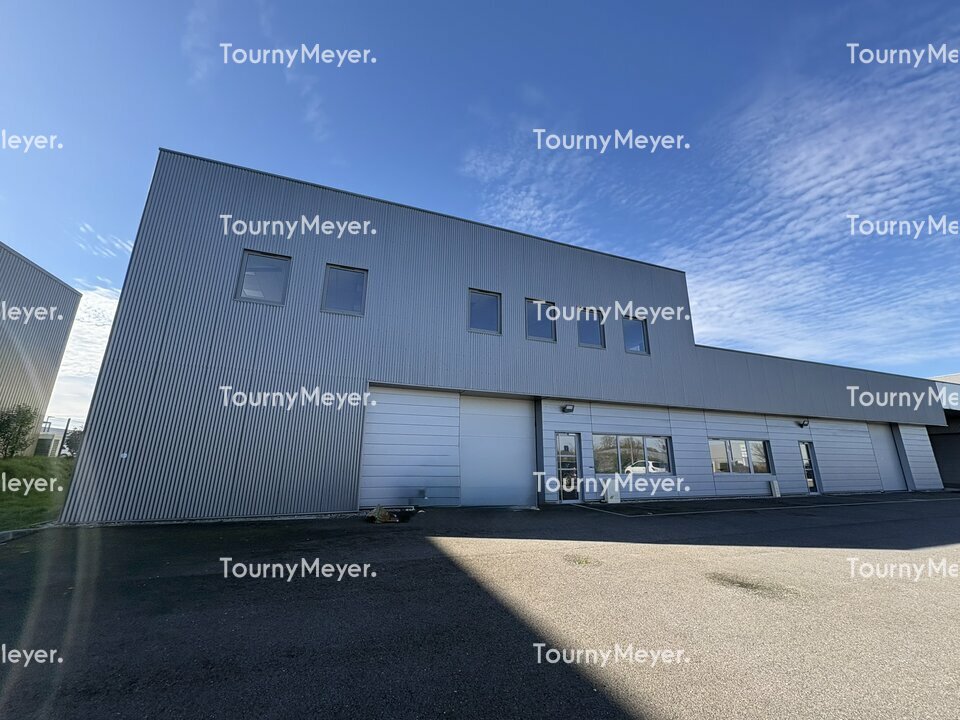 TOURNY MEYER TOULOUSE LOCATION-LOCAL D'ACTIVITE-ESCALQUENS-31