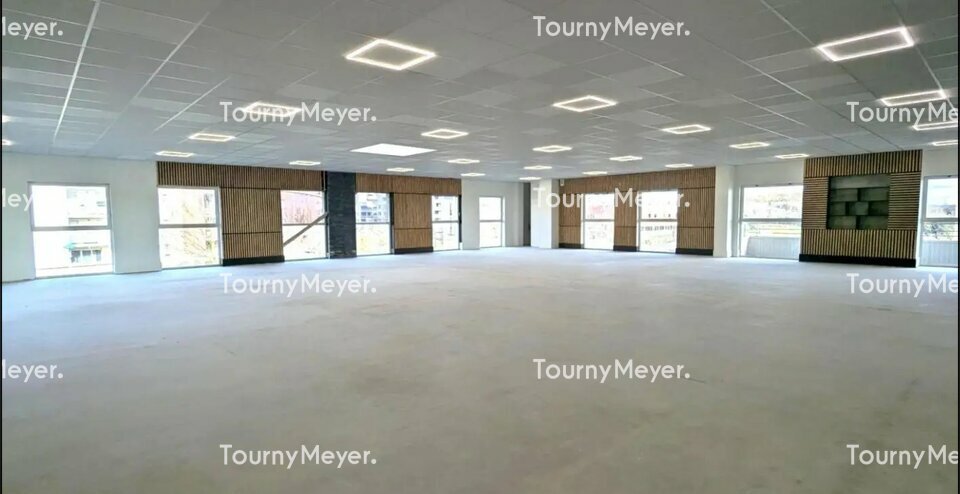 TOURNY MEYER TOULOUSE LOCATION-BUREAUX-COLOMIERS-31