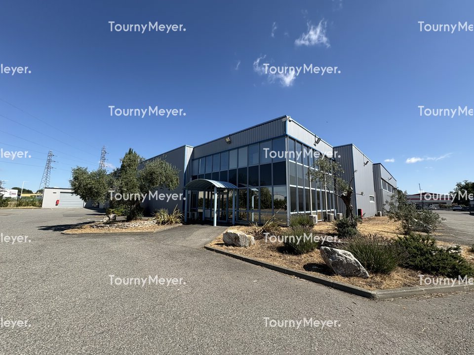 TOURNY MEYER TOULOUSE LOCATION-LOCAL D'ACTIVITE-TOULOUSE-31