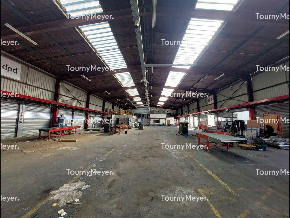 TOURNY MEYER TOULOUSE LOCATION-ENTREPOT-TOULOUSE-31