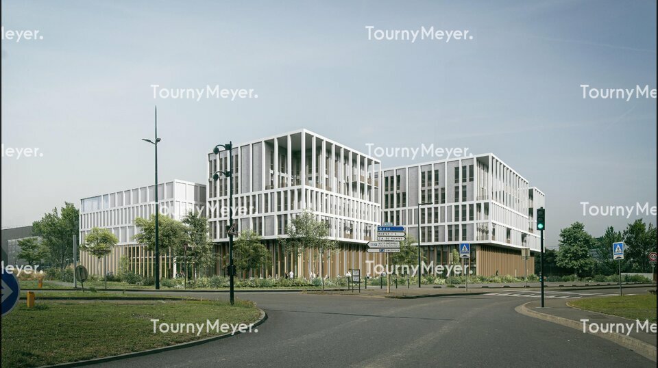TOURNY MEYER TOULOUSE LOCATION-BUREAUX-TOULOUSE-31