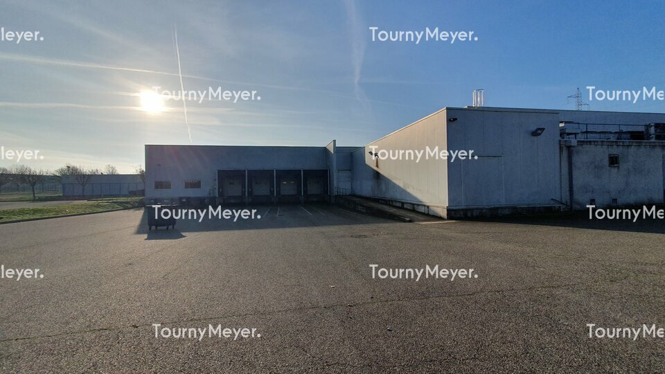 TOURNY MEYER TOULOUSE LOCATION-LOCAL D'ACTIVITE-MONTAUBAN-82