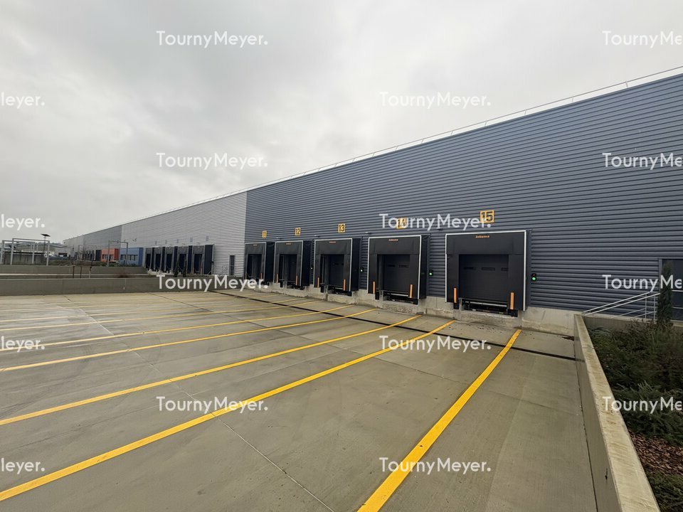 TOURNY MEYER TOULOUSE LOCATION-ENTREPOT-TOULOUSE-31