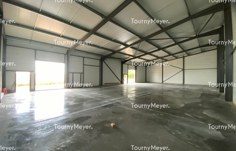 TOURNY MEYER TOULOUSE LOCATION-LOCAL D'ACTIVITE-GARIDECH-31