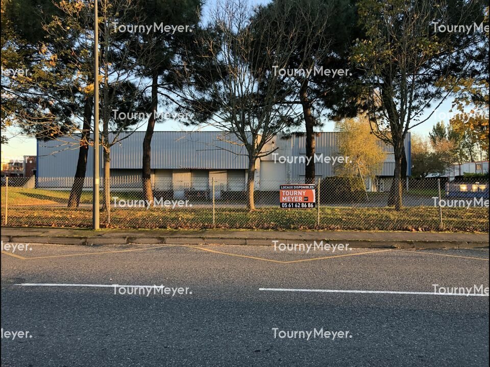 TOURNY MEYER TOULOUSE LOCATION-LOCAL D'ACTIVITE-TOULOUSE-31