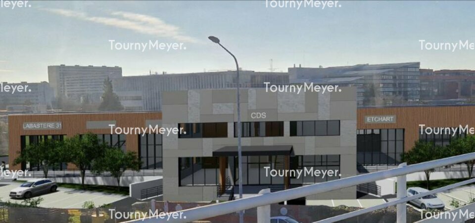 TOURNY MEYER TOULOUSE LOCATION-LOCAL D'ACTIVITE-TOULOUSE-31