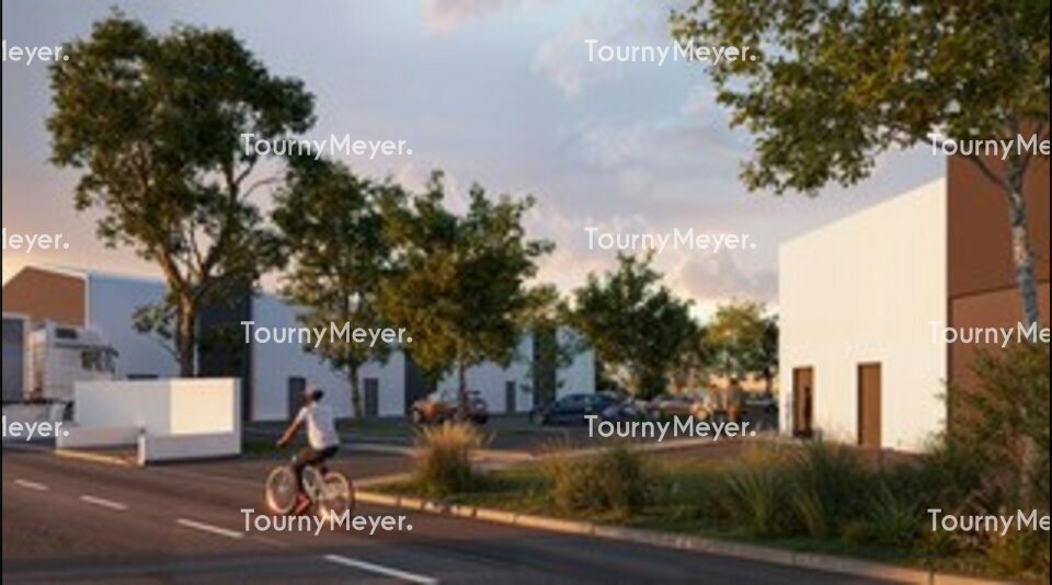 TOURNY MEYER TOULOUSE LOCATION-LOCAL D'ACTIVITE-SAINT-JORY-31