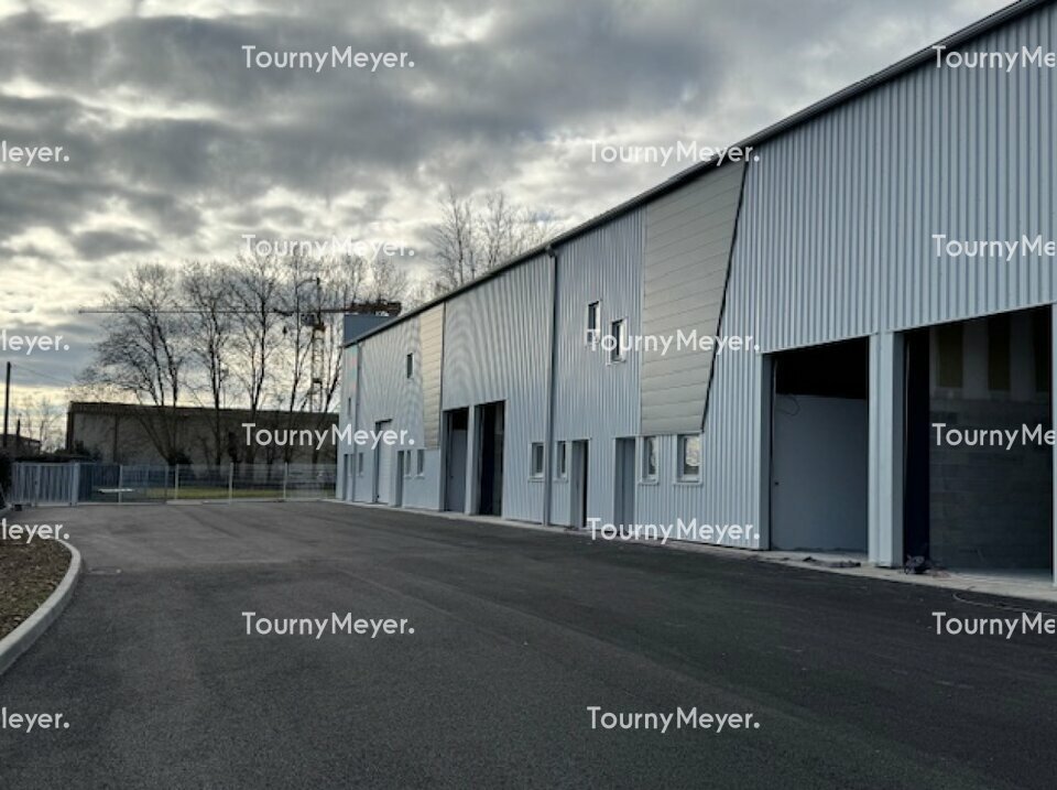 TOURNY MEYER TOULOUSE LOCATION-LOCAL D'ACTIVITE-LESPINASSE-31