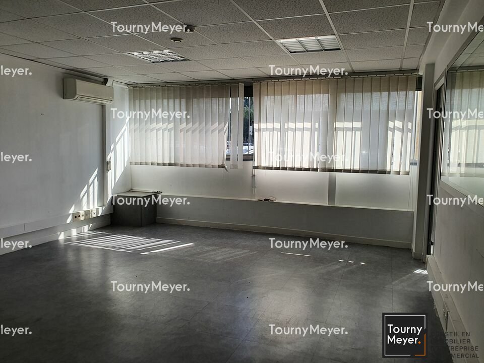TOURNY MEYER TOULOUSE LOCATION-BUREAUX-TOULOUSE-31