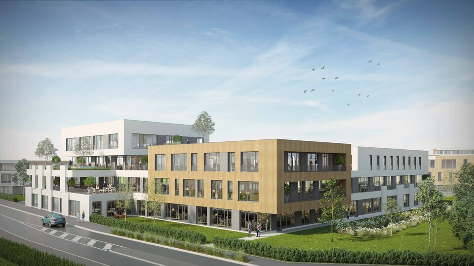 TOSTAIN ET LAFFINEUR LOCATION-BUREAUX-LEZENNES-59