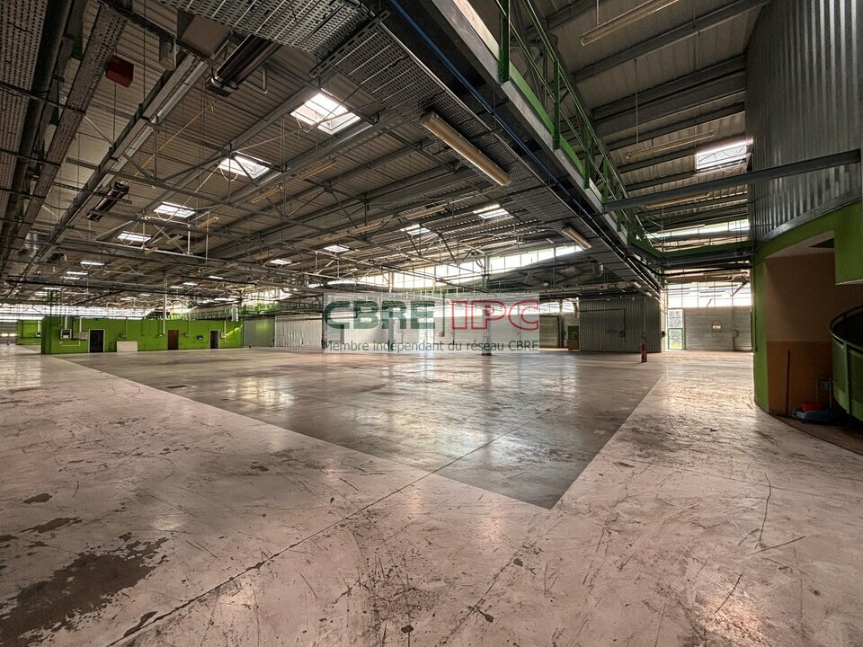 CBRE IPC VENTE-LOCAL D'ACTIVITE-LONS-64