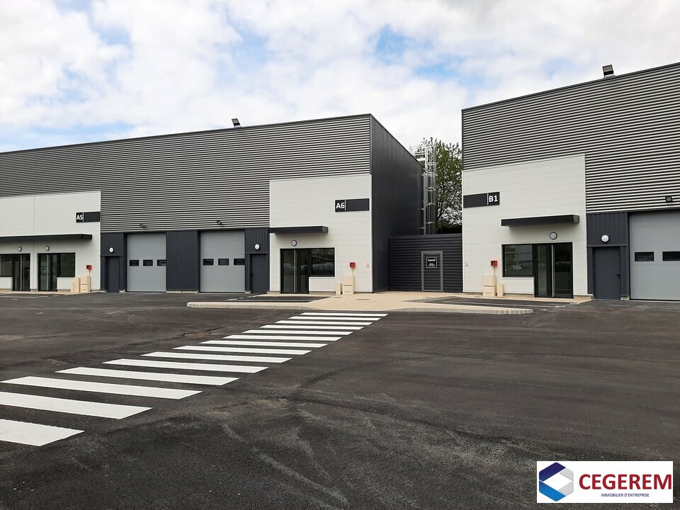 CEGEREM LOCATION-LOCAL D'ACTIVITE-SAVIGNY_LE_TEMPLE-77