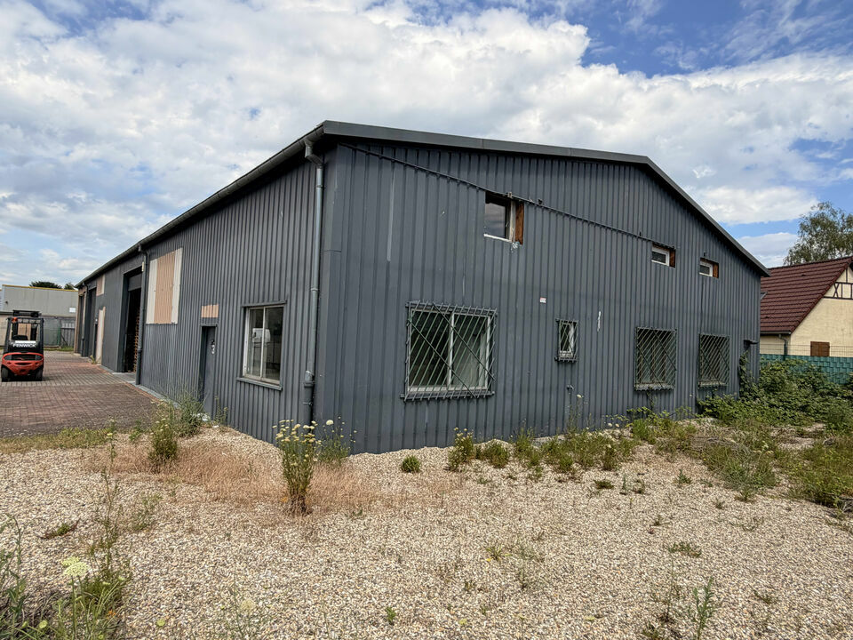 ONE DEAL VENTE-LOCAL D'ACTIVITE-ILLKIRCH-GRAFFENSTADEN-67