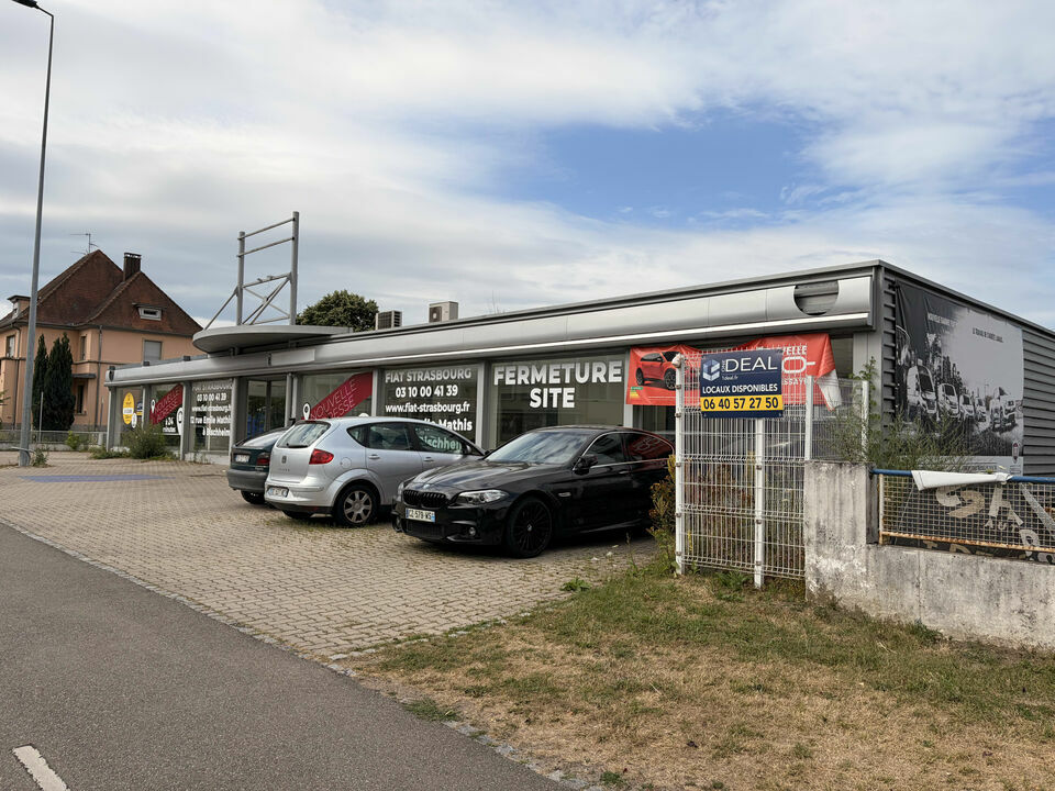 ONE DEAL LOCATION-LOCAL D'ACTIVITE-HAGUENAU-67