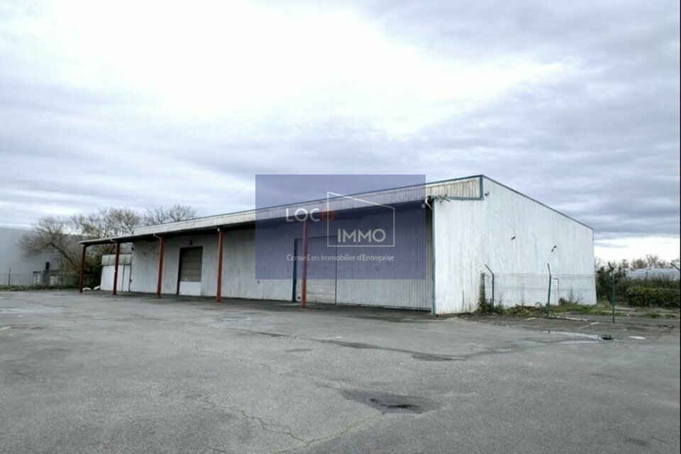 LOCO IMMO LOCATION-LOCAL D'ACTIVITE-LE_HAILLAN-33