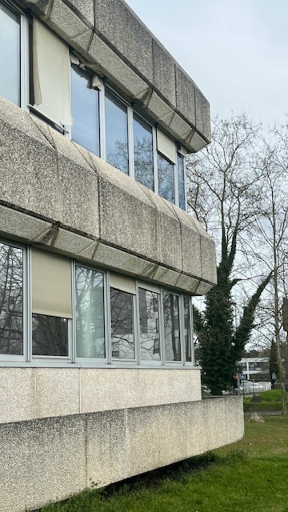 LOCO IMMO LOCATION-BUREAUX-BRUGES-33