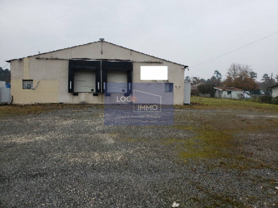 LOCO IMMO LOCATION-LOCAL D'ACTIVITE-SAINT-YZAN-DE-SOUDIAC-33