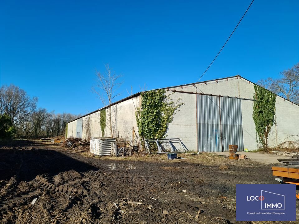 LOCO IMMO LOCATION-ENTREPOT-AMBARES_ET_LAGRAVE-33