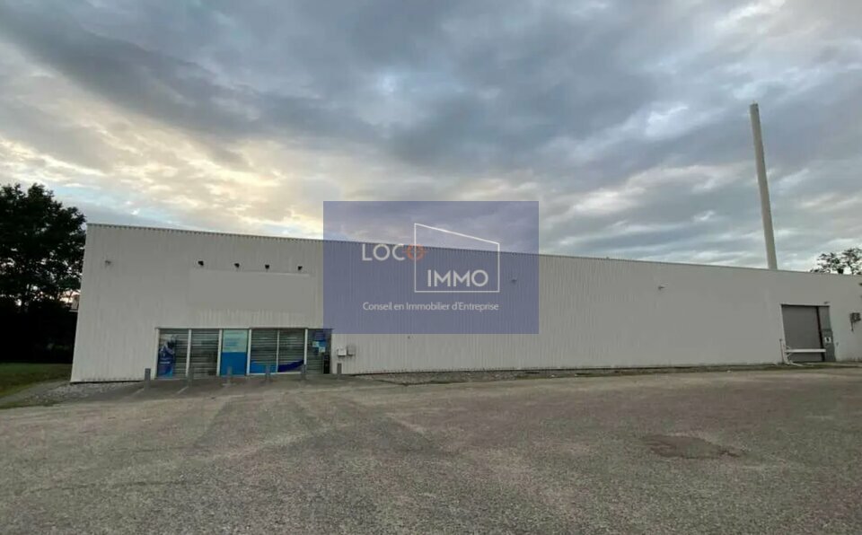 LOCO IMMO LOCATION-LOCAL D'ACTIVITE-PESSAC-33