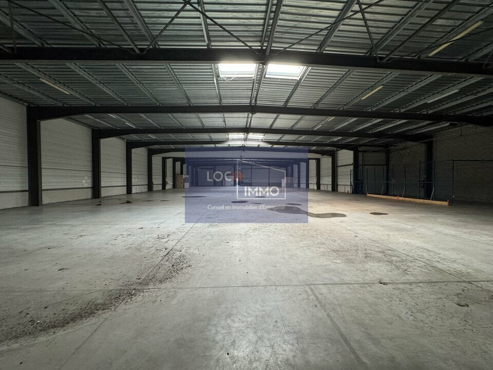 LOCO IMMO LOCATION-ENTREPOT-LE_HAILLAN-33