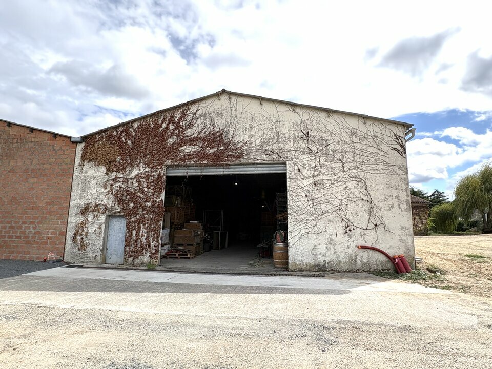 LOCO IMMO VENTE-LOCAL D'ACTIVITE-SAINT-LOUBES-33