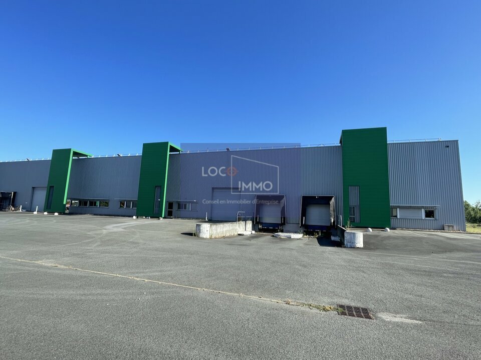 LOCO IMMO LOCATION-LOCAL D'ACTIVITE-BLANQUEFORT-33