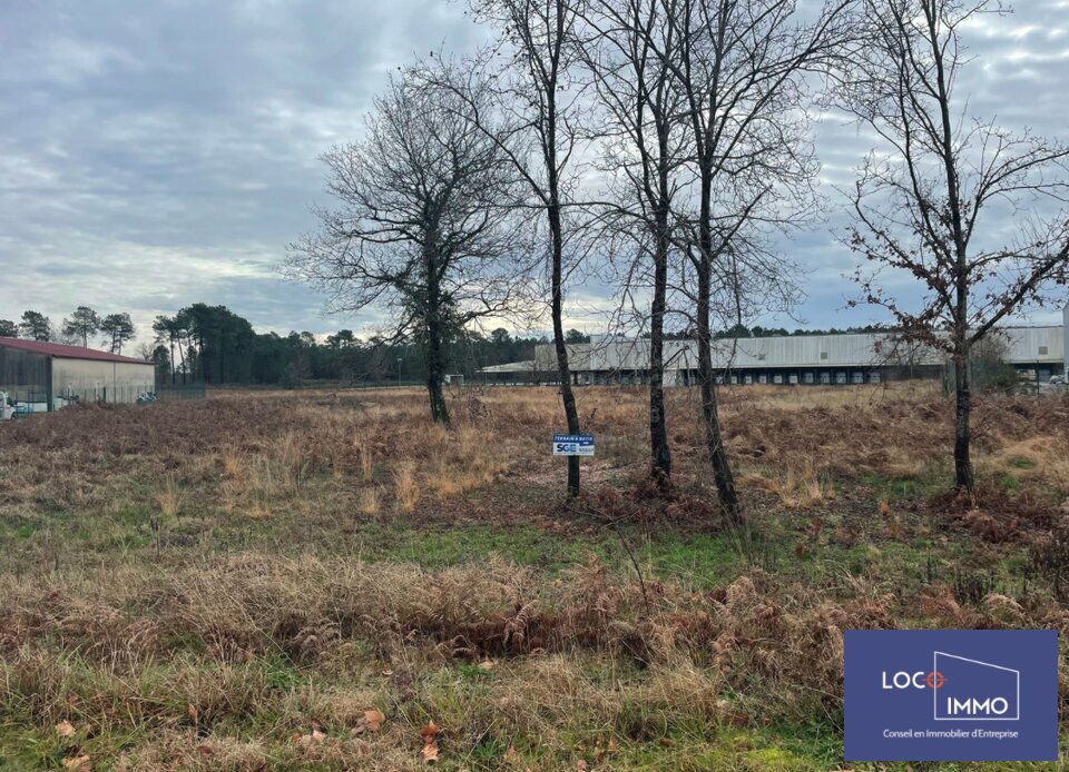 LOCO IMMO VENTE-TERRAIN-SAINT_PAUL_LES_DAX-40